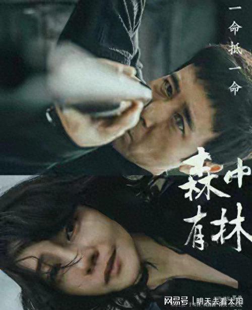 《森中有林》百度网盘资源