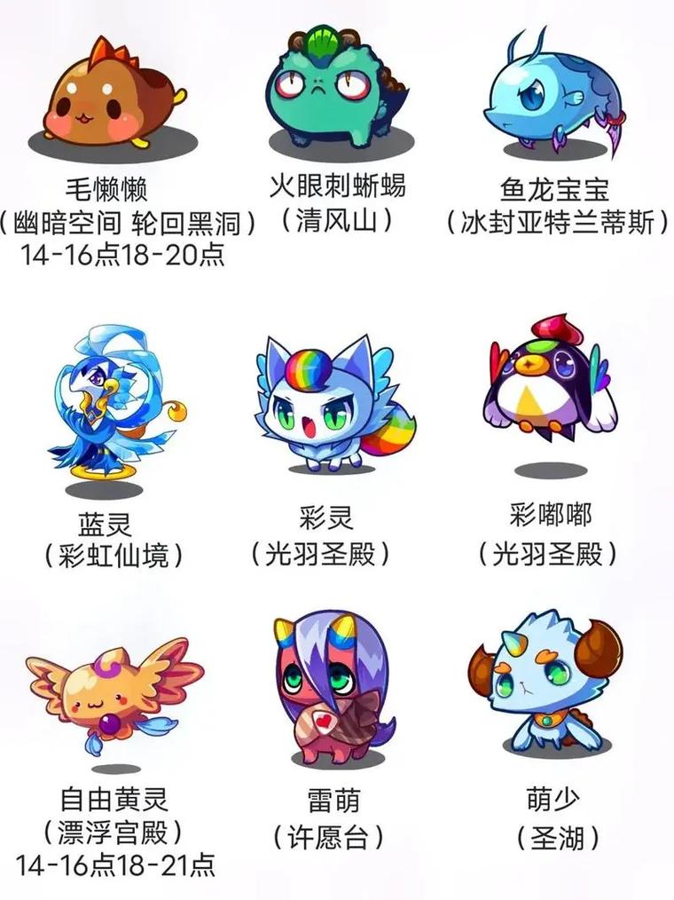 宠物王国小丑怎么找视频