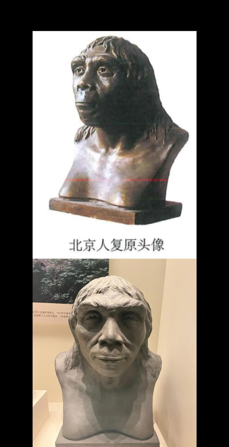iphone刷机后还能恢复资料吗