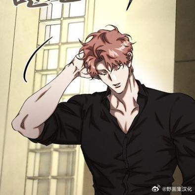 驯服小野猫漫画全集漫画