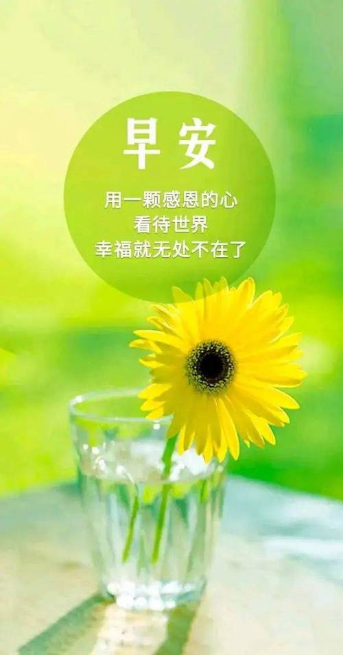 励志正能量人生语录