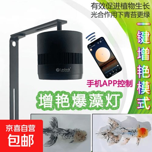 爆苔灯怎么搭配灯珠