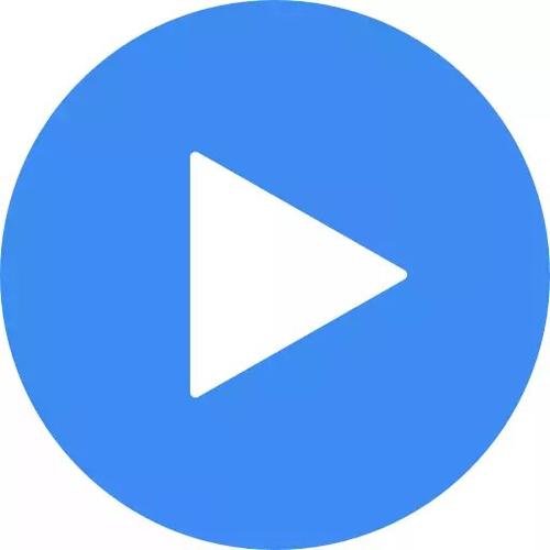 MX播放器专业版