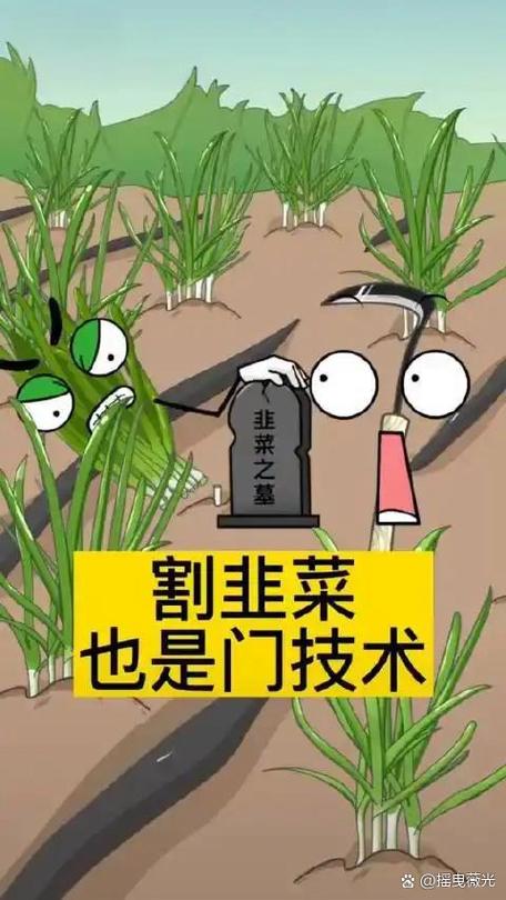 韭菜游戏