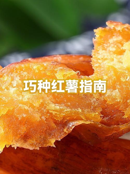 什么红薯最好吃最甜