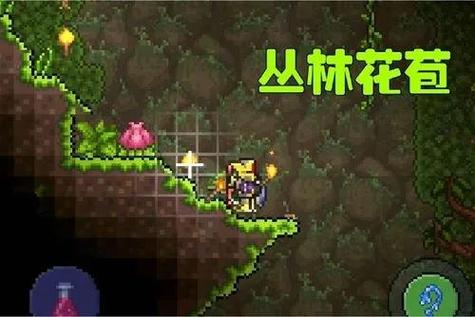泰拉瑞亚世纪花苞出现条件