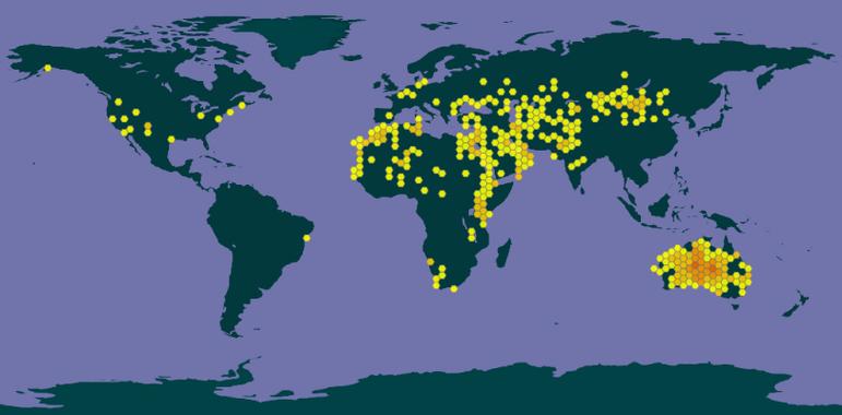 骆驼地图缩略图