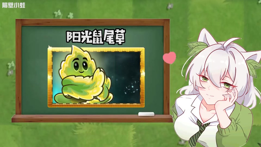 隔壁小蛙解说