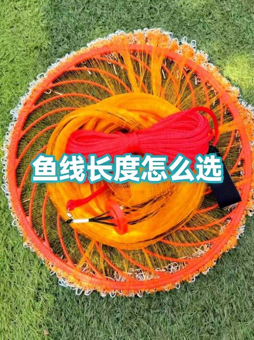 鱼线和鱼竿的长度比例缩略图