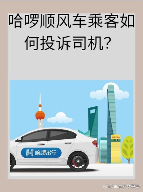 哈啰出行乘客怎么看同行乘客