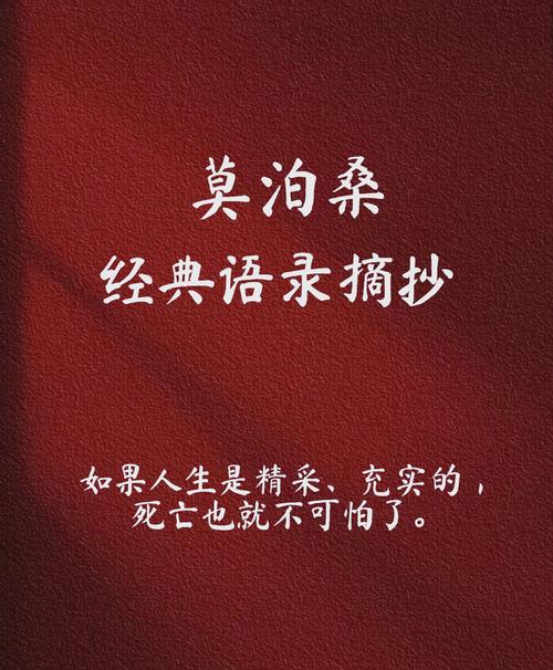 《某某》经典语录摘抄缩略图