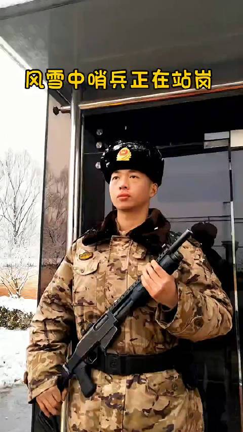 闲时偷猫这个哨兵有点帅
