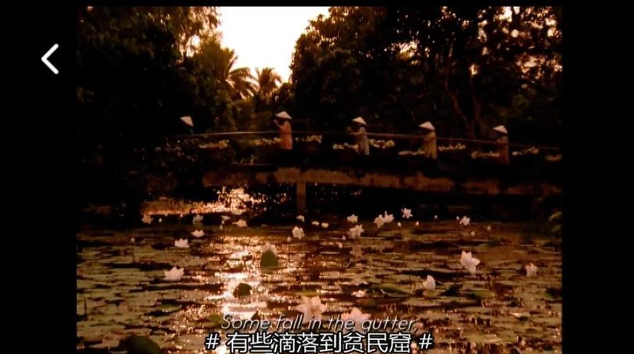 恋恋三季