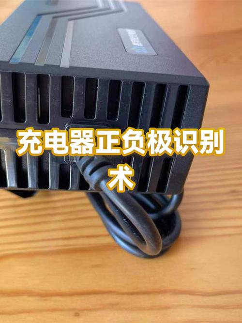 电瓶充电器正负极颜色