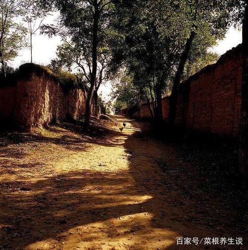 难忘的小路