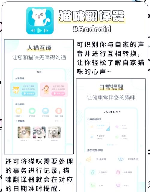 小猫翻译器对话