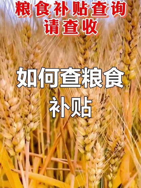 粮补本初始密码