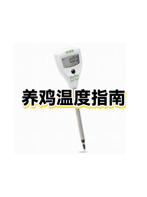 恒温养鸡场怎么做
