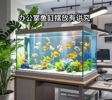 鱼缸最旺三个位置