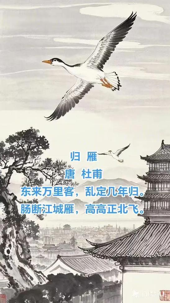 迦南诗归巢歌词缩略图