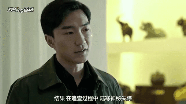 狂飙陆寒真实身份