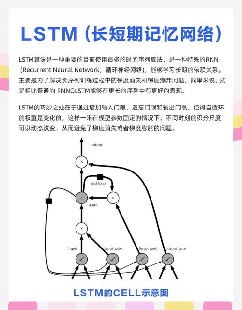 ddam是代币还是公链币