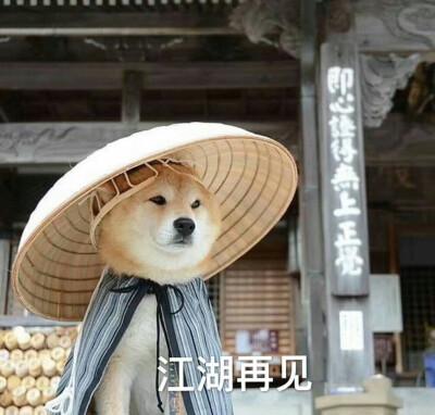 有句话叫什么江湖再见