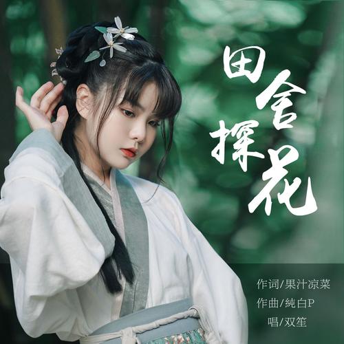 探花歌曲原唱是谁唱的游戏截图