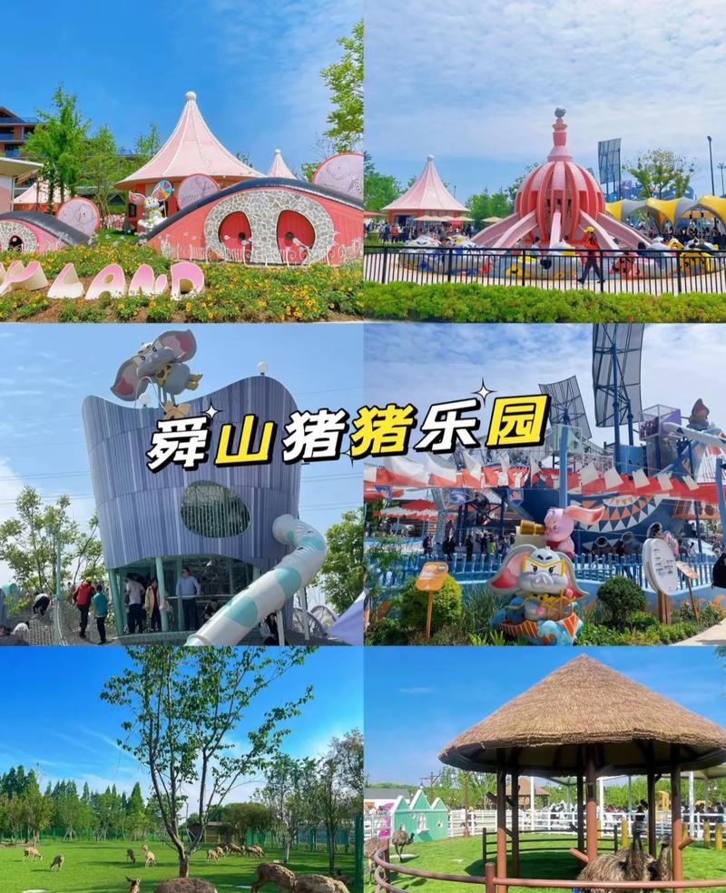 他们都在玩的养猪的游戏是什么