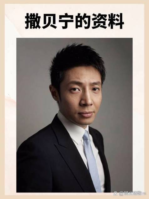 撒贝宁精忠报国哪一期