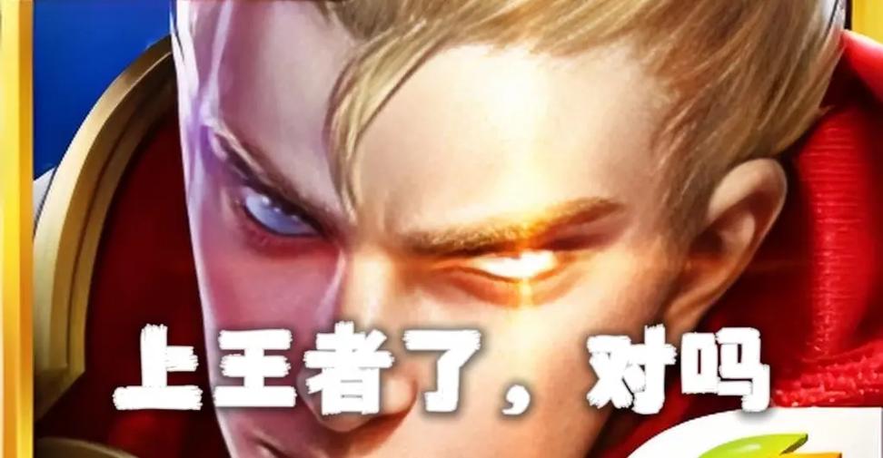 王者送花记录哪里查