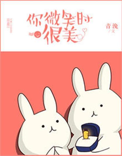 你微笑时很美2语本小说