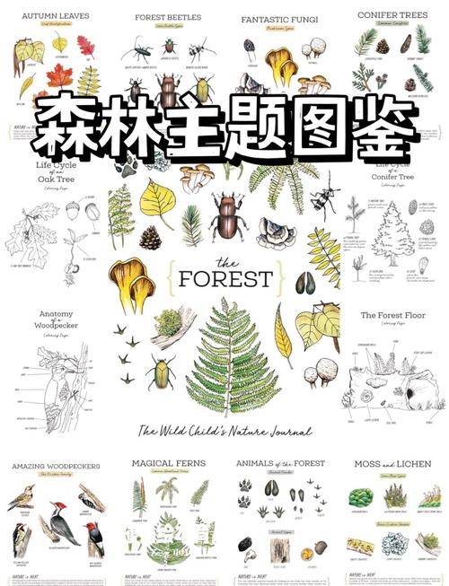 森林旧识电影完整版在线播放