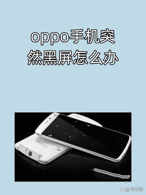 oppo一碰摄像头就黑屏图标