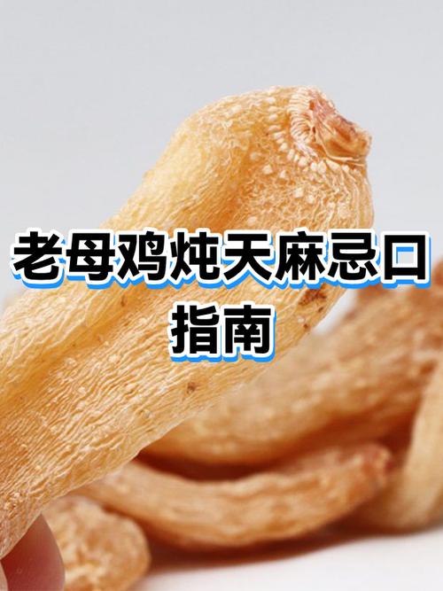 4年的老母鸡能吃吗