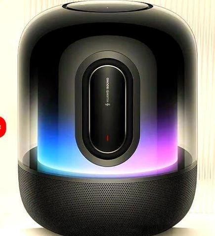 华为音箱能绑定网易云音乐吗