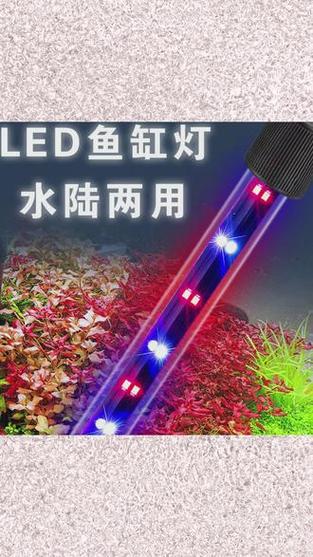 鱼缸灯的作用