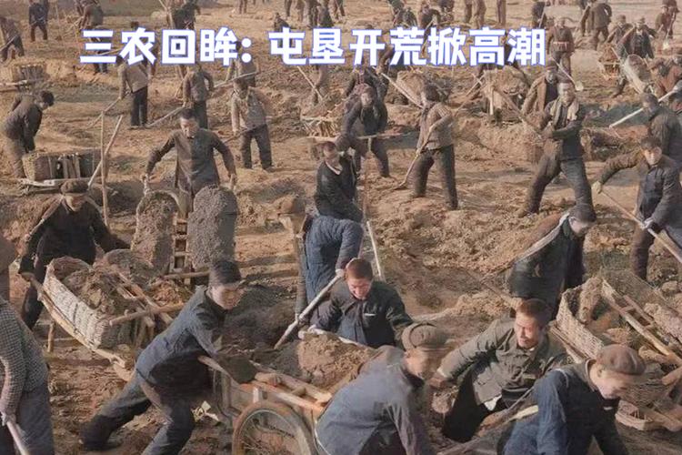 黑龙江开荒地新政策