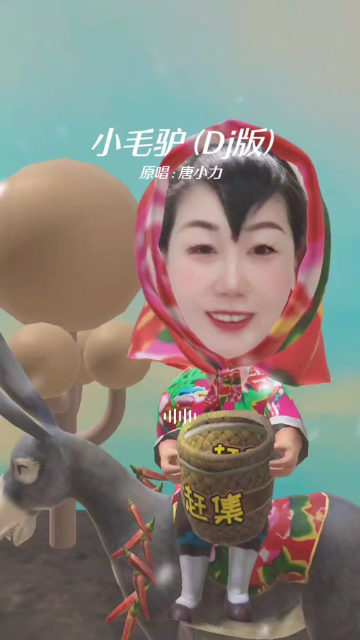 小毛驴DJ版粗口原唱