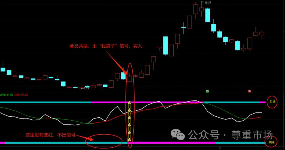如何用通达信软件选股器缩略图