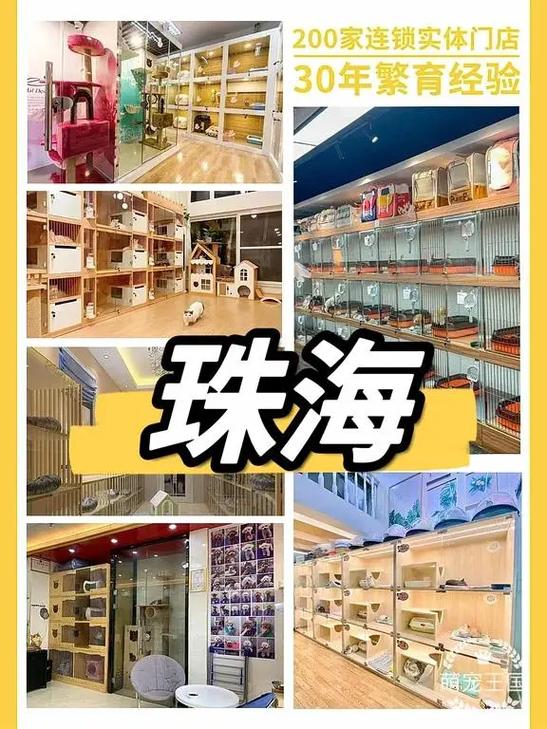 珠海最大的宠物市场在哪