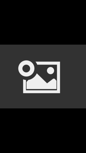 vivo相册里的图片突然不见