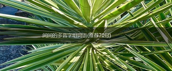 间多音字