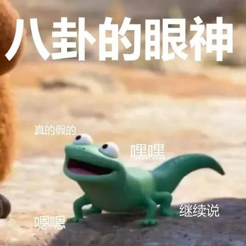 发疯蜥蜴表情包