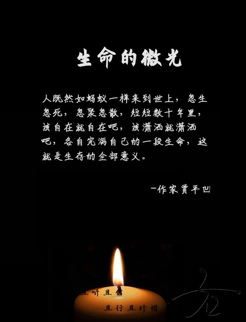 小小的生命