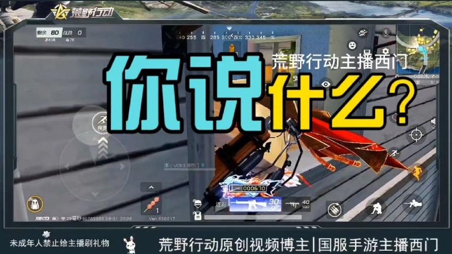 荒野行动直播游戏截图