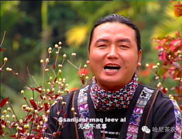 哈尼族花恋歌词