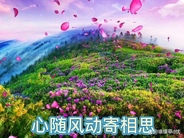 形容女人多情花心句子