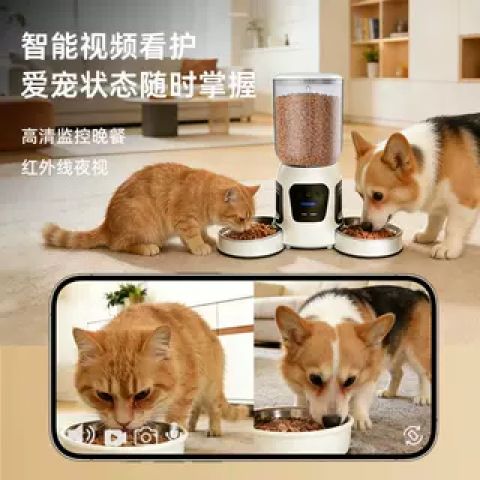 换猫了监控怎么重新设置