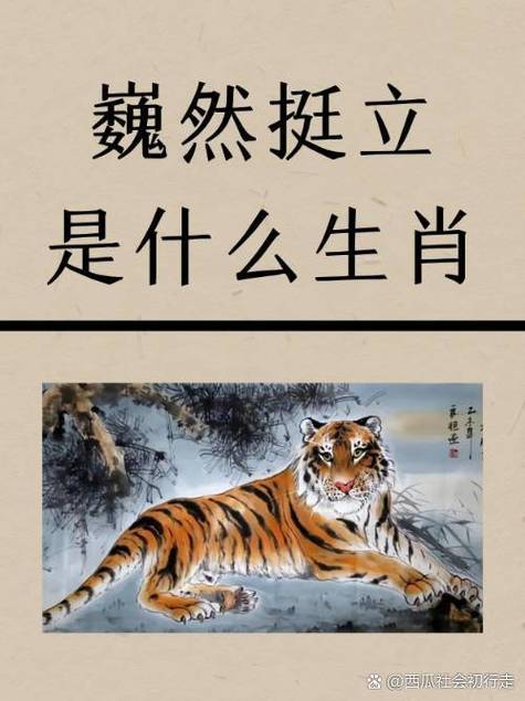 龙让虎步是什么生肖